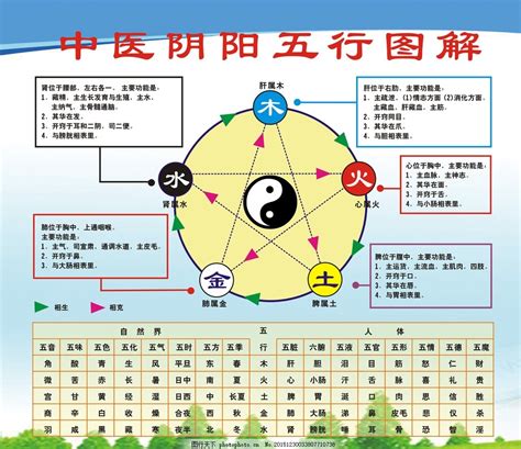 中醫 五行表